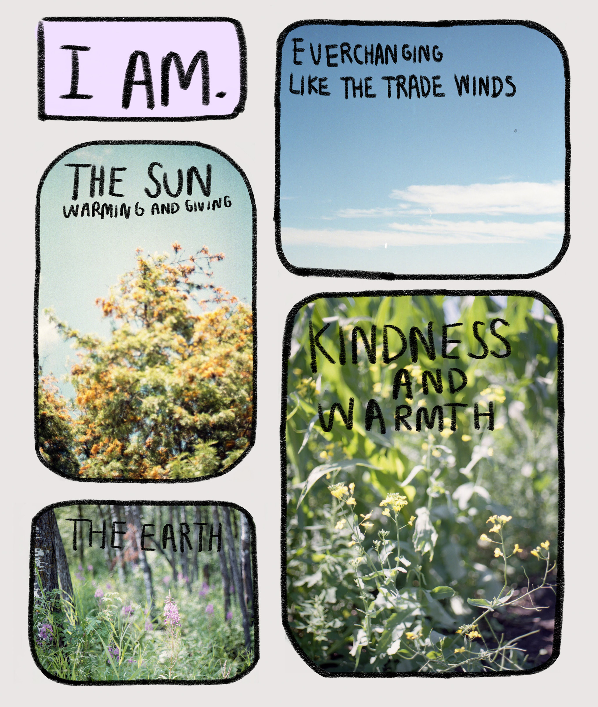 illustration of 4 different nature scenes with writing over them